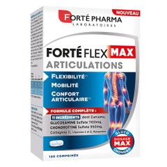 Forté Pharma Forté Flex Articulaciones Flexibilidad Movilidad 120 comprimidos