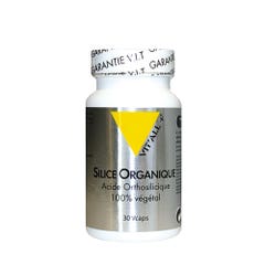 Vit'All+ Silicea orgánica 25 mg 30 cápsulas