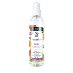 Coslys Spray limpiador de aloe vera y albaricoque ecológico Todo tipo de cabello 200 ml