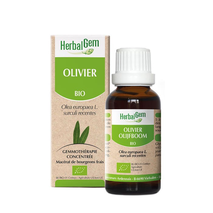 Biografía de Olivo 30 ml Herbalgem
