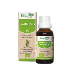 Herbalgem Frambuesa ecológica 30 ml
