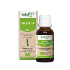 Herbalgem Sequoia Orgánica 30 ml