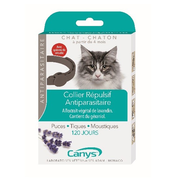 Collares repelentes de insectos para gatos y gatitos 35 cm Canys