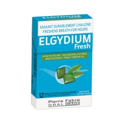 Elgydium Fresh Pocket 12 pastillas