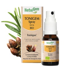 Herbalgem Tonigem Spray GC16 Tónico Bio 15 ml