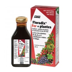 Salus Floradix Hierro + Plantas Vitalidad Y Energia 250ml