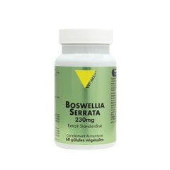 Vit'All+ Boswellia Serrata 230 mg 60 cápsulas vegetales