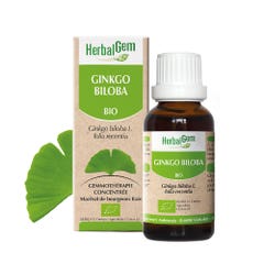 Herbalgem Ginkgo Biloba ecológico 30 ml