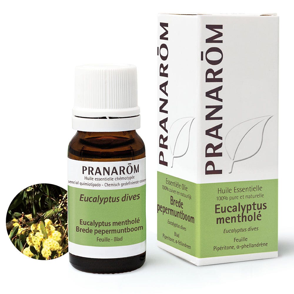 Pranarôm Aceites Esenciales Eucalyptus mentolado 10 ml