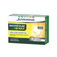 Juvamine Magnesio Maxi 30 comprimidos