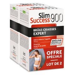 Slim Success 900 2x120 gélules Phytea