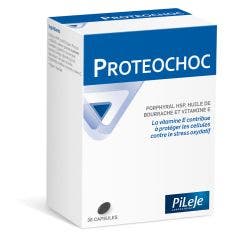Proteochoc 36 Cápsulas Proteochoc Pileje