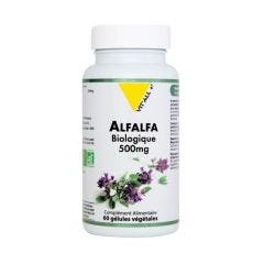 Alfalfa ecológica 500 mg 60 Gélulas Vit'All+