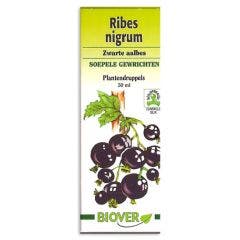 Gouttes De Plantes Ribes Nigrum Cassis Articulations Souples 50ml Biover