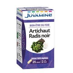 Alcachofa Rábano negro 50 cápsulas Bien Etre du Foie Juvamine
