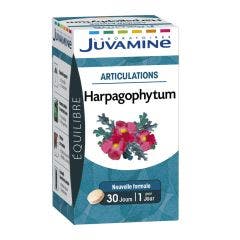 Harpagophytum Joint 30 Comprimidos Juvamine