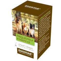 Regulador Intestinal Para Perro Y Cachorro 20 Capsulas Zoostar