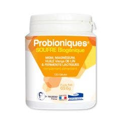 Probioniques Soufres Biogenique 120 Gelules Labo Sante Silice