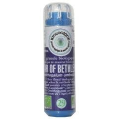 Bach Bio N°29. Star Of Bethlehem Granules 6.3g Kosmeo