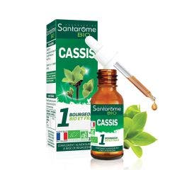 Casis Bio 30 ml Santarome