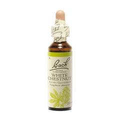 Bach White Chestnut 20ml Fleurs de Bach Original