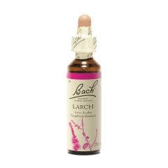 Bach B119 Larch . 20ml Fleurs de Bach Original