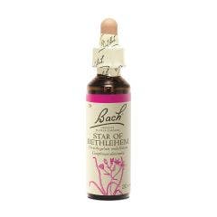 Bach B129 Star Of Bethlehem 20ml Fleurs de Bach Original