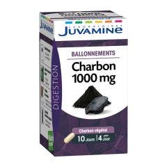 Charbon 40 Gelules 1000mg Juvamine
