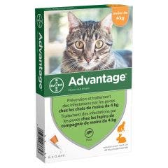 40 Gatos Conejos Pequeños de Menos de 4kg 6x0.4ml Advantage