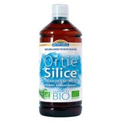 Ortie-silice Suplemento Joven Bio Bebible 1l Biofloral
