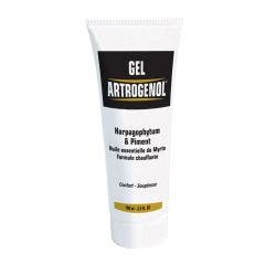Gel Artrogenol Confort Articular 100ml Nutri Expert