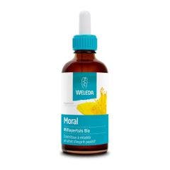 Millepertuis bio extractos de plantas moral 60ml Les Extraits de Plantes Bio Millepertuis Weleda