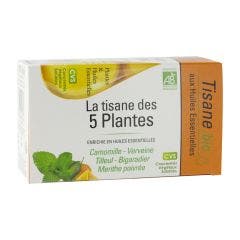 La Tisane Des 5 Plantes Bio X20 Nutrigée
