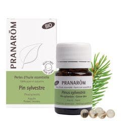 Pino silvestre ecológico 60 Perlas Les Huiles Essentielles Pranarôm