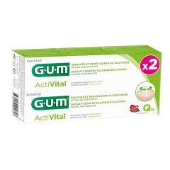 Activital Q10 Dentifrico Encias Y Dientes Sanos 2x75ml ActiVital Gum