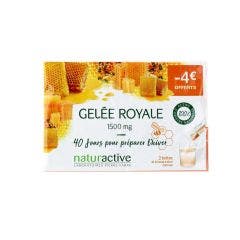Jalea Real 2x20 sticks Gamme Fluide Naturactive