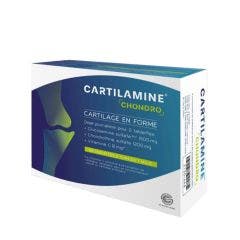 Cartilamina Condro 60 estantes Cartílago en forma Effi Science