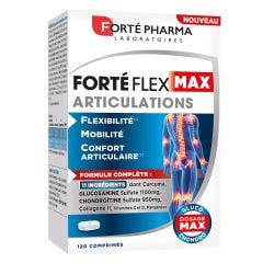 Forté Flex Max Articulations 120 comprimés Forté Flex Forté Pharma