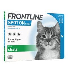 Spot On Gato 6 pipetas de 0.5ml Frontline