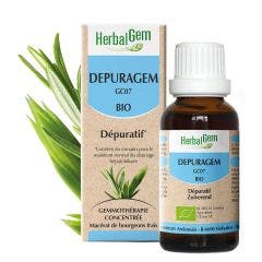 Depuragem Organic Depurative 30 ml Complexes De Gemmotherapie Herbalgem