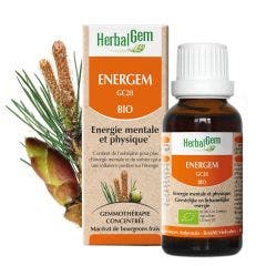 Energem Bio Gotas 30ml Complexes De Gemmotherapie Herbalgem
