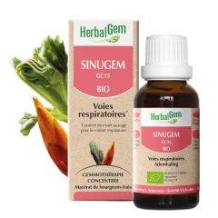 Sinugem Bio Gotas 30ml Complexes De Gemmotherapie Herbalgem