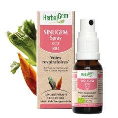 Sinugem Bio Spray 15ml Complexes De Gemmotherapie Herbalgem