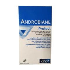 Androbiane Protect 60 Capsulas 60 Comprimés Pileje