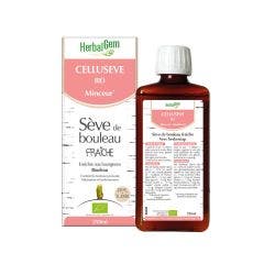 Savia de abedul fresco bio Celluseve adelgazante 250ml Herbalgem
