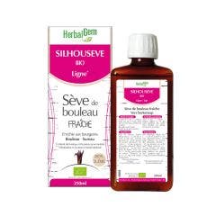 Savia De Abedul Fresca Silhouseve Bio Linea 250ml Herbalgem