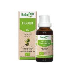 Bio Higuera 30ml Herbalgem