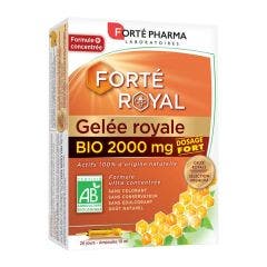 Jalea Real Bio 20 Ampollas Forté Royal Forté Pharma