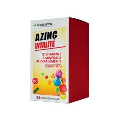 Vitalidad Vitaminas C y E Zinc 120 Cápsulas Azinc Adulte Arkopharma