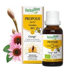 Gotas para Garganta Junior Bio 15ml Propolis Herbalgem